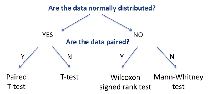 Comparison Between Two Groups – Statistical Comparisons Using R